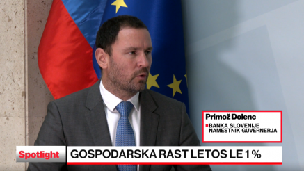 Kako bo okrevala gospodarska rast Slovenije?