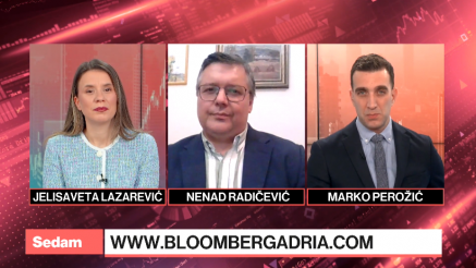 Radičević o pitanjima geopolitike u 2026. godini