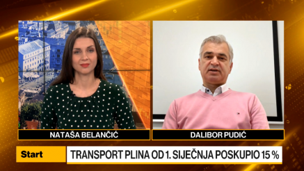 Pudić: Rast cijene transporta plina može utjecati na konkurentnost najvećih potrošača