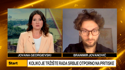 Jovanović: Pad zaposlenosti u svim sektorima, osim u uslugama