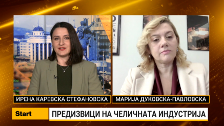 Дуковска Павловска: Квотите на ЕУ закана за македонската челична индустрија