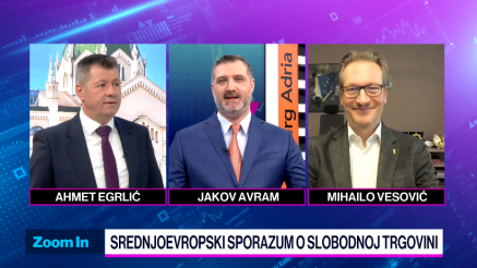 CEFTA: Iskorak ili tapkanje u mestu?