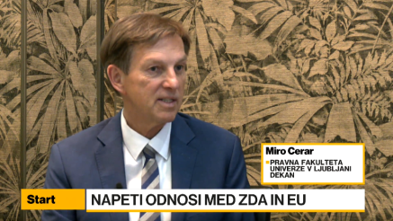 Cerar: Enotna Evropa je lahko močna, v mednarodnih odnosih je ključno zaupanje