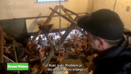 Poljoprivreda kao posao: inovacije, investicije i prehrambena sigurnost