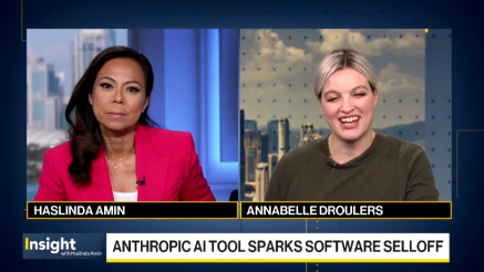 Prodaja delnic programskih podjetij