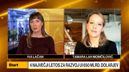 Lah Momčilović: Zasebni sektor diktira tempo uvedbe UI, javni ima ogromno potenciala