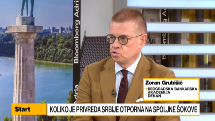 Grubišić: Srbija otporna na šokove, dinar ostaje stabilan