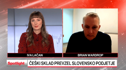 Potenciali slovenskih podjetij, ki jih vidijo tuji investitorji 