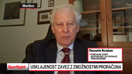 Prihodnjo vlado bodo omejevale fiskalne zaveze, narediti bo morala analizo možnih prihrankov