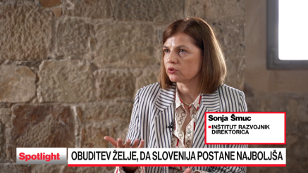 Cilj novega think tanka Razvojnik je promocija idej za razvojni preboj Slovenije