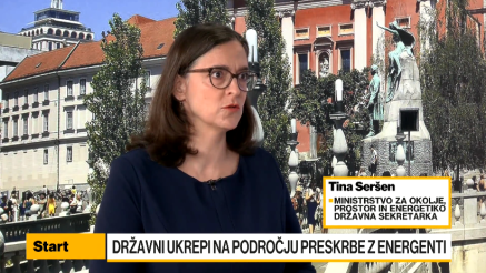 Seršen: Eden večjih izzivov bo zagotovitev zalog plina, zalog nafte je dovolj