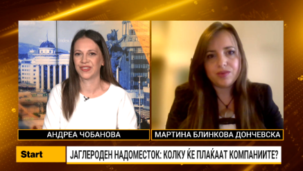 Блинкова Дончевска: Македонија е делумно подготвена за СВАМ