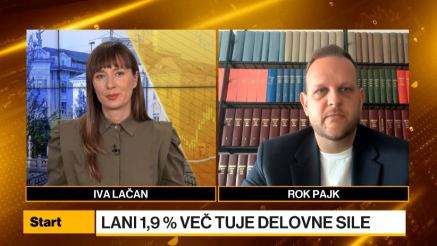 Pajk: Slovenski delodajaci so lahko togi pri zaposlovanju tujcev