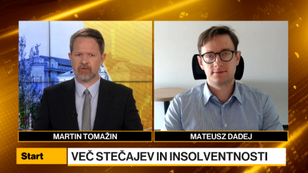 Dadej: Več insolvenčnih postopkov v Sloveniji je posledica zunanjih šokov in slabega povpraševanja