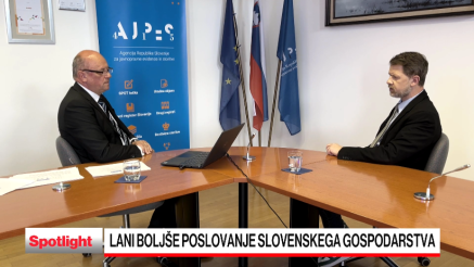 Slovenska podjetja lani izboljšala poslovanje, pred krizo so v dobri kondiciji