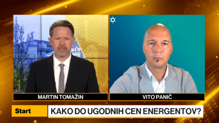 Panič: Podjetjem svetujemo sprejetje strategije nakupa energentov in portfeljske nakupe