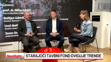 Stare stavbe, vse pogostejše škode in stroški 