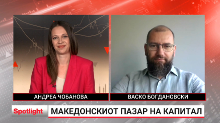 Дали личниот инвестициски профил го одредува изборот на вложување?