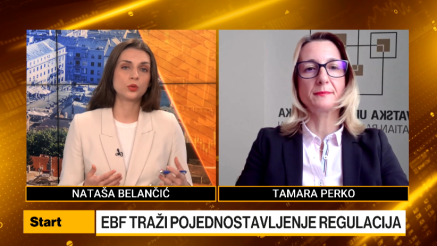 Perko: Regulativa u EU sustavno obeshrabruje financiranje velikih projekata