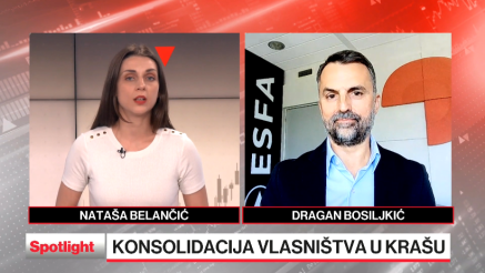 Konsolidacija vlasničke strukture u Krašu