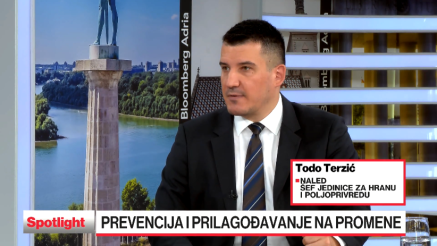 Premium voće na ceni: Od klimatskih izazova do rekordnog roda