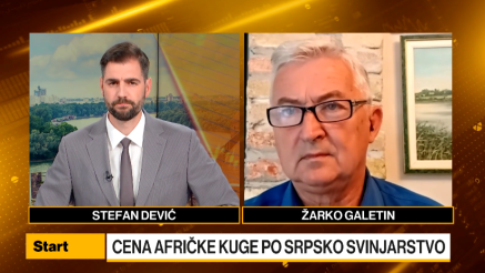 Galetin: Afrička kuga ubrzala pad svinjarstva u Srbiji