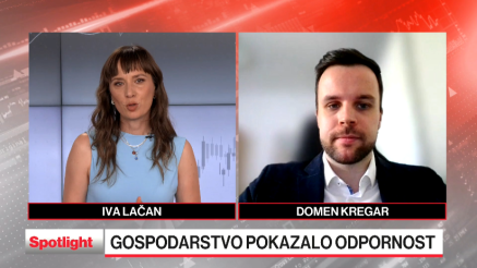 Makroekonomsko okolje ni zamajal slovenskih delniških družb