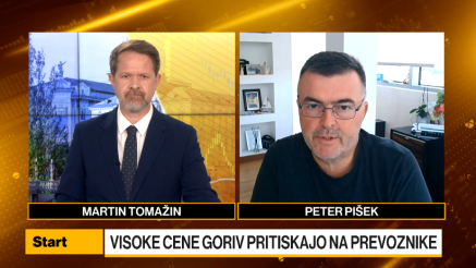 Pišek: Ukrepi pomoči prevoznikom dobrodošli, a rabimo tudi dolgoročne rešitve