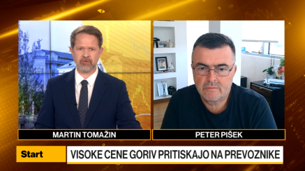 Pišek: Ukrepi pomoči prevoznikom dobrodošli, a rabimo tudi dolgoročne rešitve