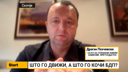 Пехчевски: Растот на БДП е реален, но нерамномерен