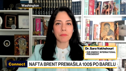 Dr. Vakhshouri: Trebaće vremena da se povrati poverenje u Ormuz