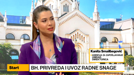 Smailbegović: Raste kvota za strane radnike, ali su zahtjevi bh. privrednika još veći