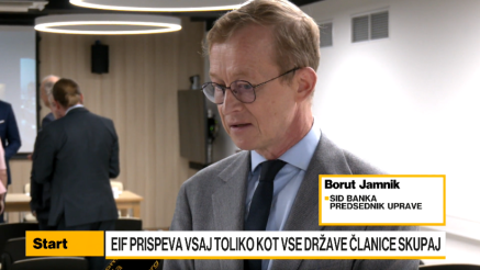 Jamnik: Evropo je treba čim bolj osamosvojiti od globalnih tokov, ki so pod šoki
