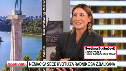 Šta redukovana nemačka kvota za radnike znači za poslodavce iz Srbije?