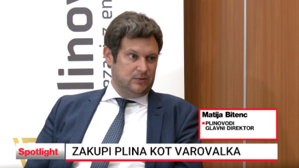 Zakupi plina so varovalka za podjetja, a visoke cene bodo imele vpliv