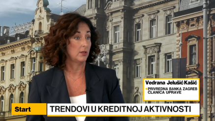 Jelušić Kašić: Tvrtke će projekte više financirati vlastitim novcem, manje kreditima