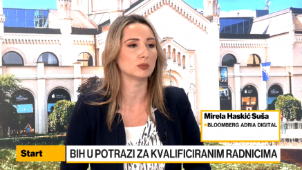 Haskić-Suša: regrutacijska industrija u BiH u primjetnom rastu