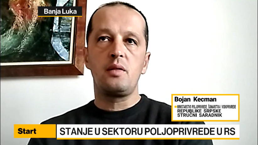 Kecman: Bum organske proizvodnje | Bloomberg Adria