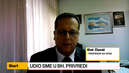 Čizmić: Udio MSP u bh. privredi na evropskom nivou