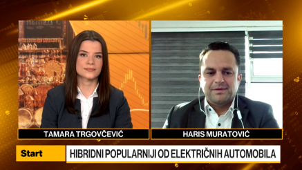 Muratović: Subvencije države neophodne za popularizovanje EV