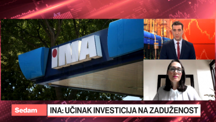Zindović: Investicije nagrizle zaradu INE