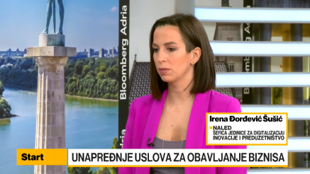 Đorđević Šušić: Pada broj malih kompanija koje kreću da inoviraju