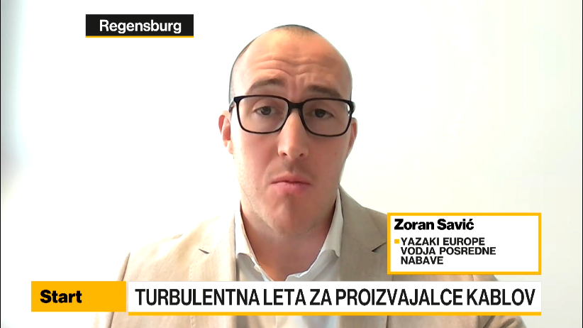 Savić: Pričakujemo večjo stabilnost cen materialov v industriji kablov ...