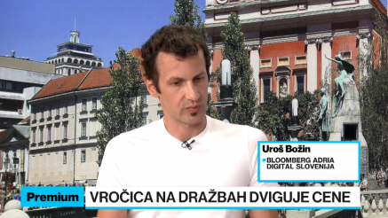 Božin: Veliko število dražiteljev dviguje cene na dražbah