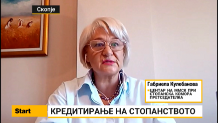 Кулебанова: Компаниите се задоволни од условите за кредити  од унгарскиот заем