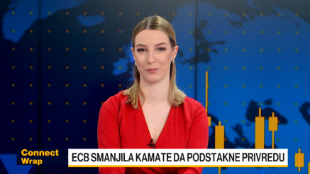 ECB nastavila sa monetarnim popuštanjem, Nemačku čeka glasanje o poverenju vladi