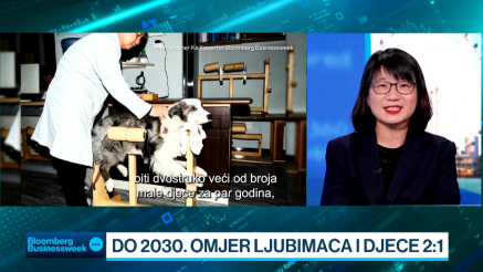 Kućni ljubimci u Kini zamjenjuju decu, kineska autoindustrija pritiska evropsku