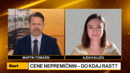 Kaluža: Le 30 odstotkov nepremičnin je kupljenih na kredit
