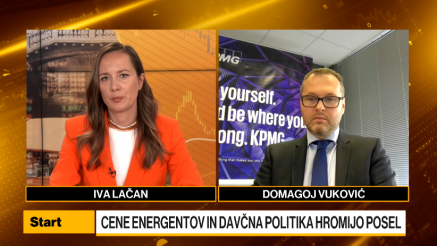 Vuković: Tuje naložbe so pomembne, a ne odpravijo potrebe po odpravi stroškov dela