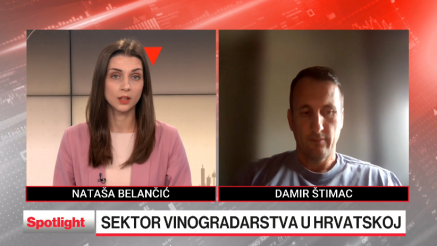 Izazovi hrvatskog vinogradarskog sektora